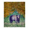 1 Black Bear Silk-Touch Throw Cozy Rustic Wildlife Decorative Blanket