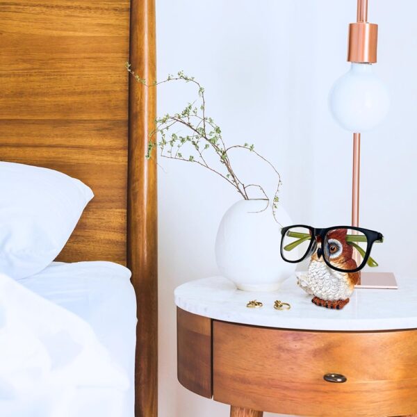 Whimsical Owl Eyeglasses Holder Figurine for Desk or Nightstand Decor