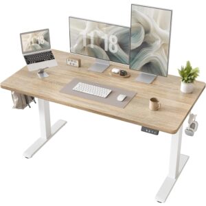 1 Electric Standing Desk Adjustable Height Computer Workstation with Memory Control